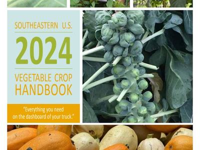 Vegetable Crop Handbook Cover
