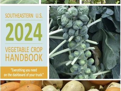 Cover: SOUTHEASTERN VEGETABLE EXTENSION WORKERS — SOUTHEASTERN U.S. 2024 VEGETABLE CROP HANDBOOK; photos of Brussels sprouts, squash, insect