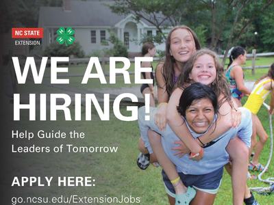 We are hiring?