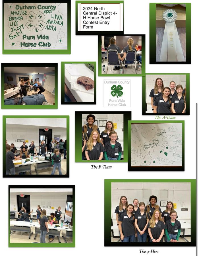 Collage of the Pura Vida Horse Club