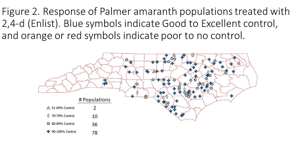 Response of Palmer amaranth populations treated with 2,4-d