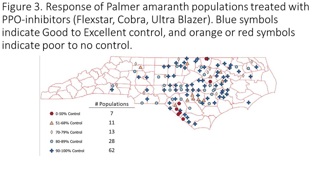 Response of Palmer amaranth populations treated with PPO Inhibitors