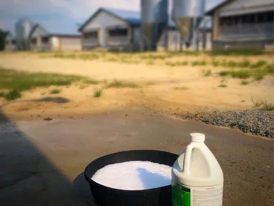 animal waste management