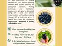 Blackberry