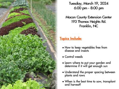 Basic Gardening Flyer