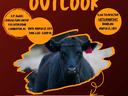 Cattle Market Outlook