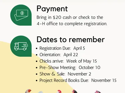 Wilson County 4‑H Chick Chain flyer: register online, $20 payment, key dates, Ages 5–18
