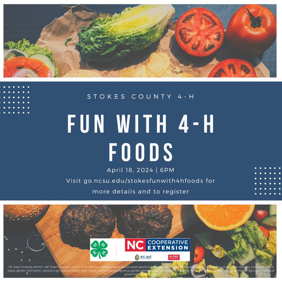 Fun with 4-H Foods