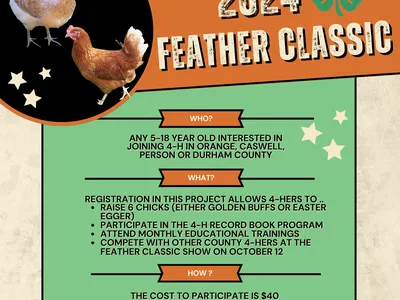2024featherclassic