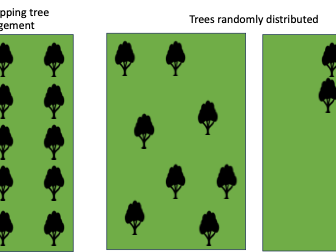 Different arrangement of trees in pastures