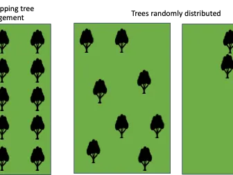 Different arrangement of trees in pastures
