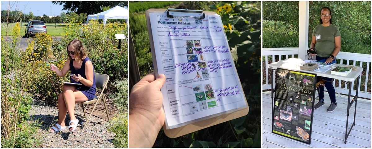 A woman counts pollinators visiting a plant while another woman answers questions about pollinators.
