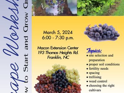 Grape Workshop Flyer