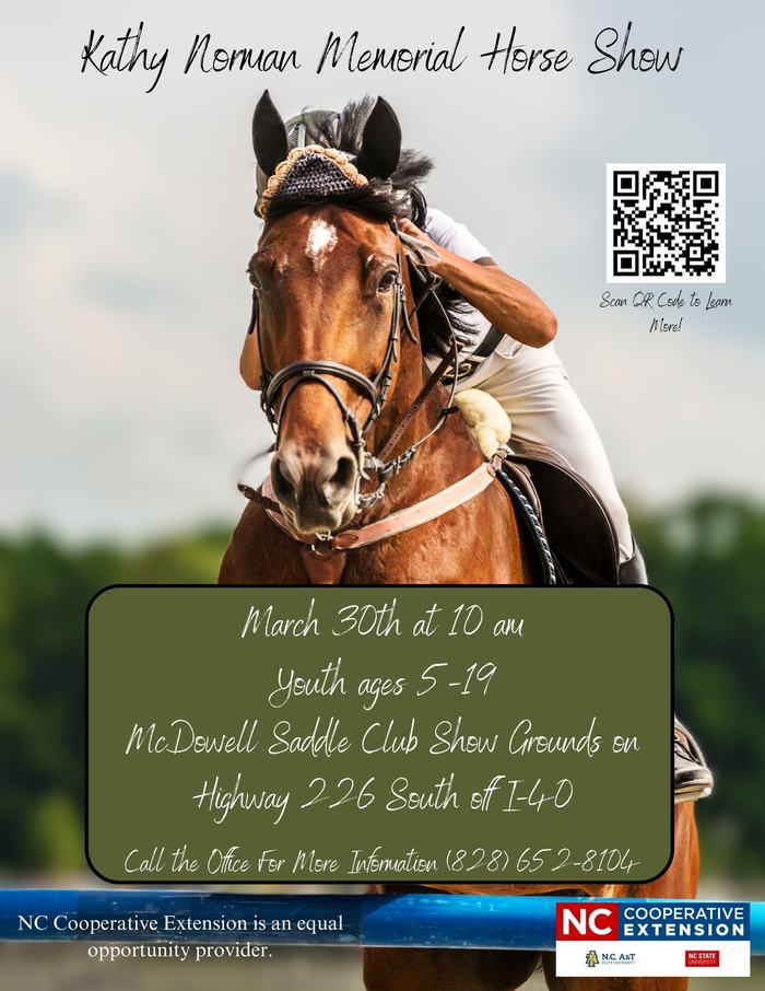 Horse Show Flier