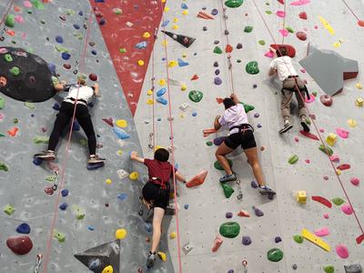 Four people climbing an indoor rock wall using ropes and colorful holds