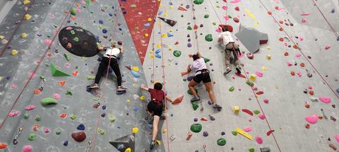 Four people climbing an indoor rock wall using ropes and colorful holds