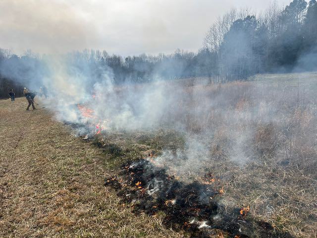 A burned line of grass in a field.