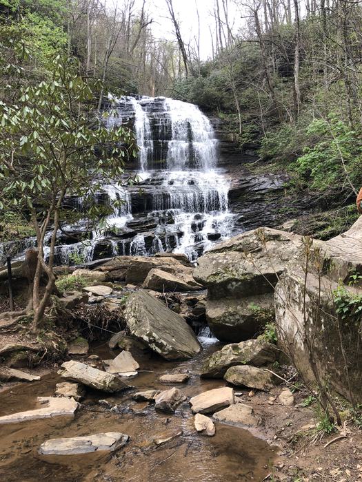 Pearson's Falls