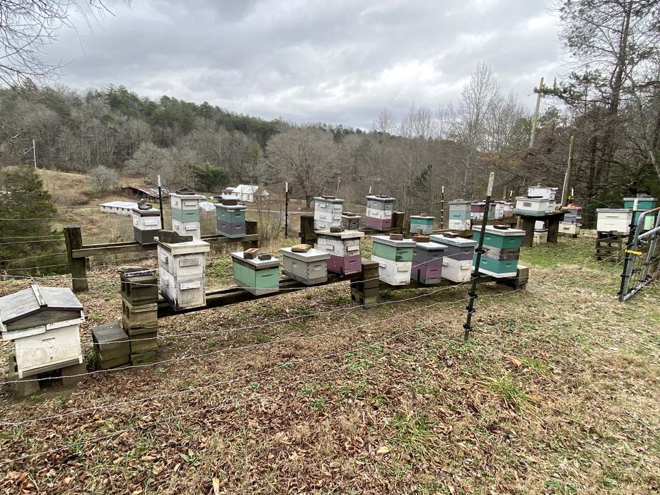 Rows of colorful beehives on stands in a rural hillside apiary under cloudy sky
