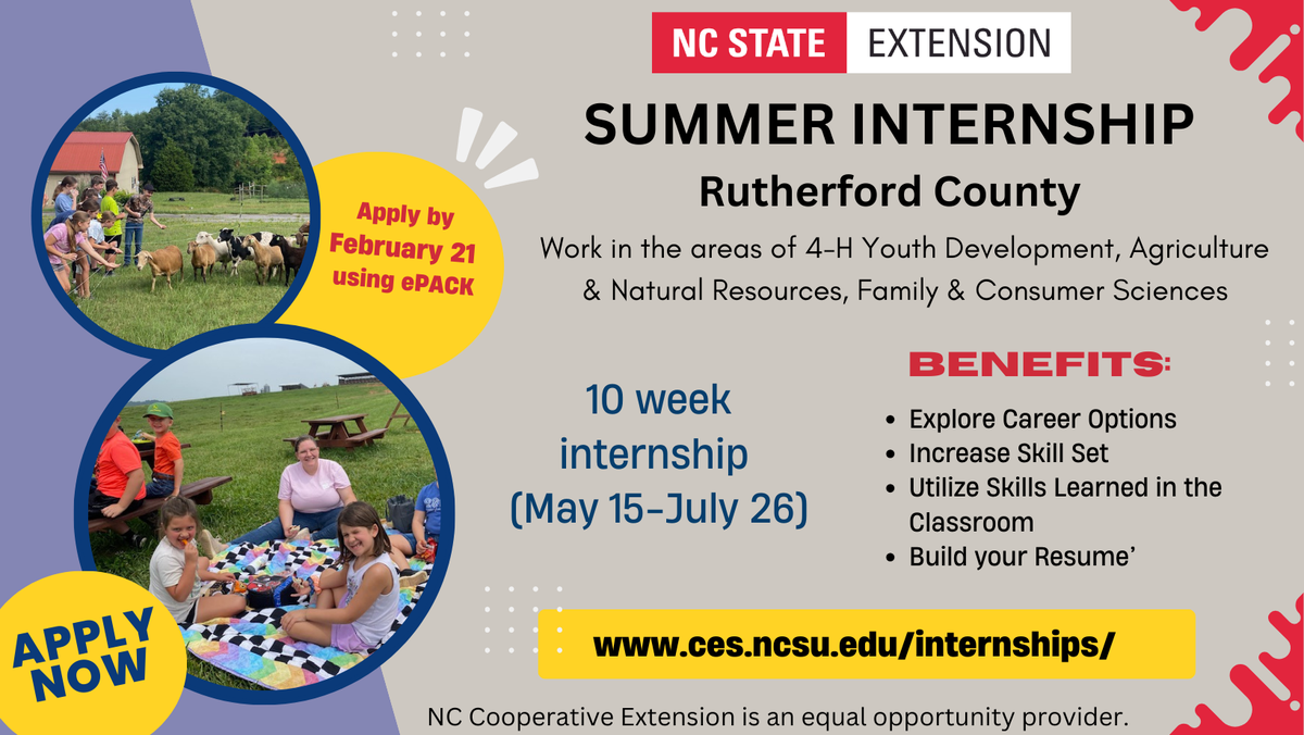 Summer 10 Week Internship