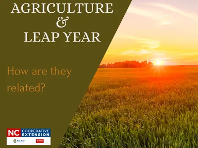 Sunlit crop field with text "AGRICULTURE & LEAP YEAR" and "How are they related?"