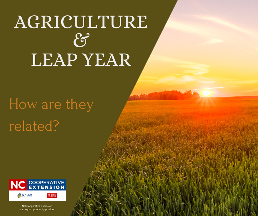 Agriculture and Leap Year, How are they related?