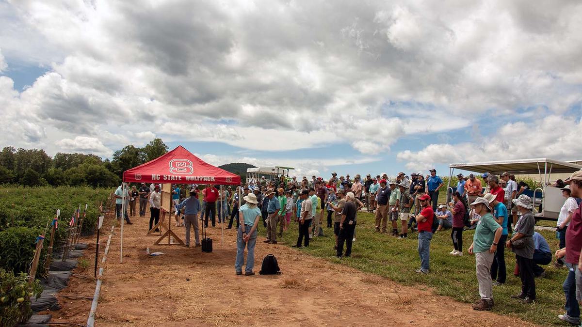 NC State Extension Mountain Horticulture Crops Research and Extension Center (MHCREC) research station helps growers in the North Carolina mountains