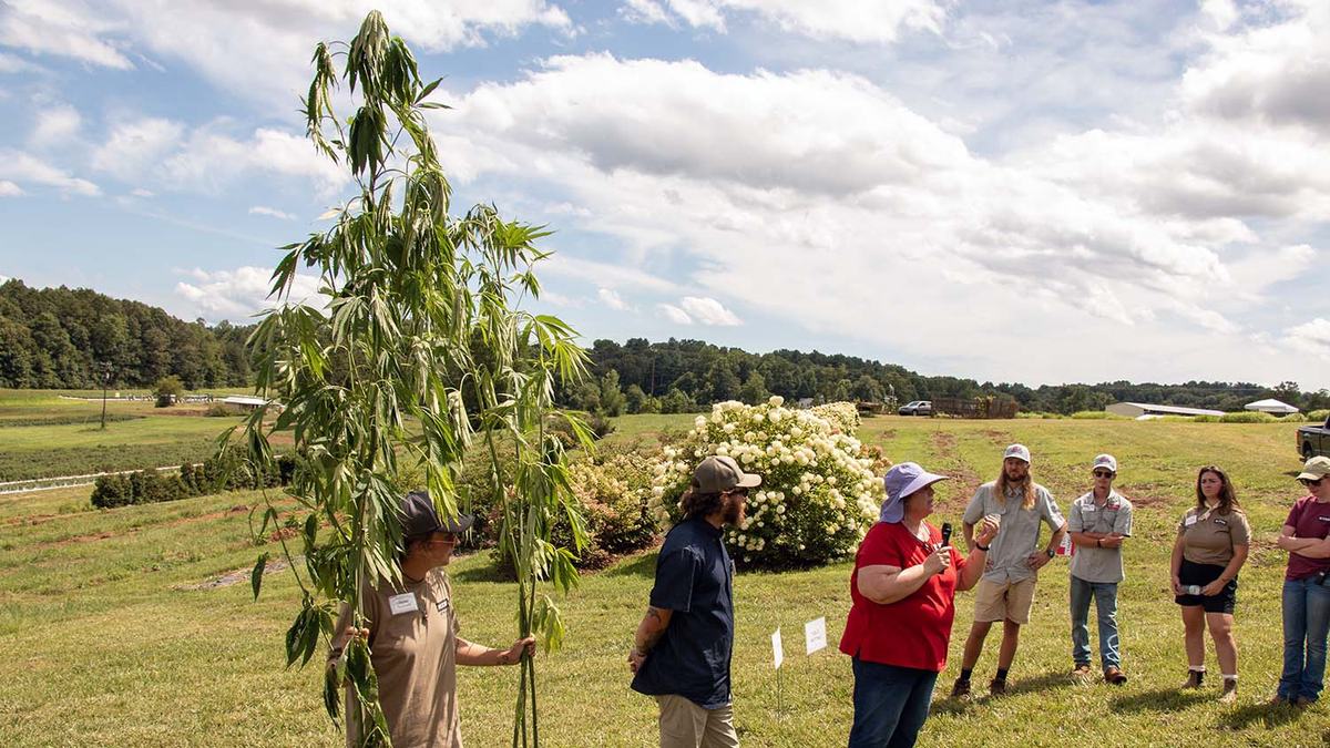 NC State Extension Mountain Horticulture Crops Research and Extension Center (MHCREC) research station helps growers in the North Carolina mountains