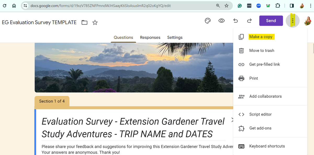 Screen shot of survey