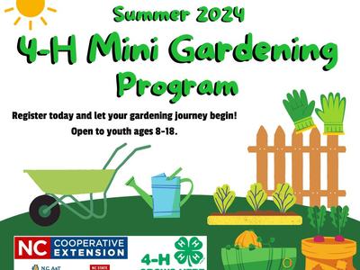 Summer 2024, 4-H Mini Gardening Program