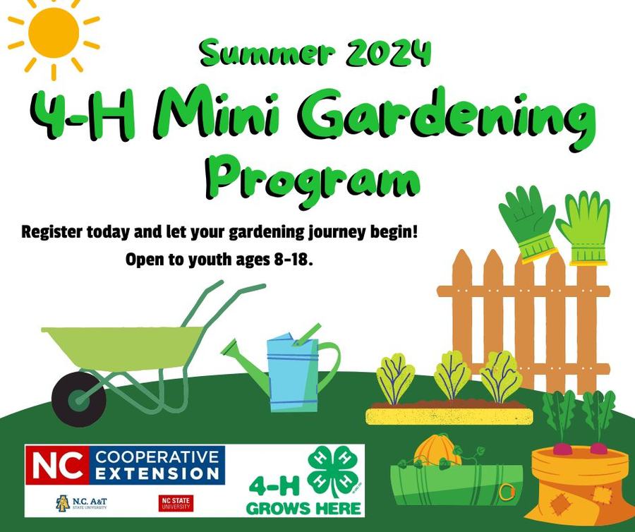 Summer 2024, 4-H Mini Gardening Program