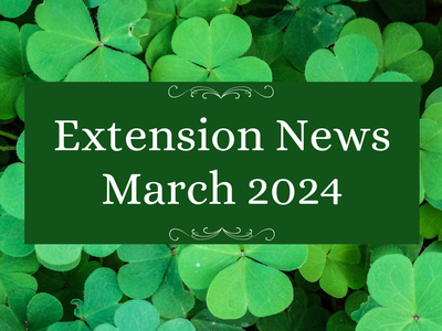 Clover background with banner reading "Extension News March 2024"