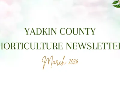 March Newsletter Banner