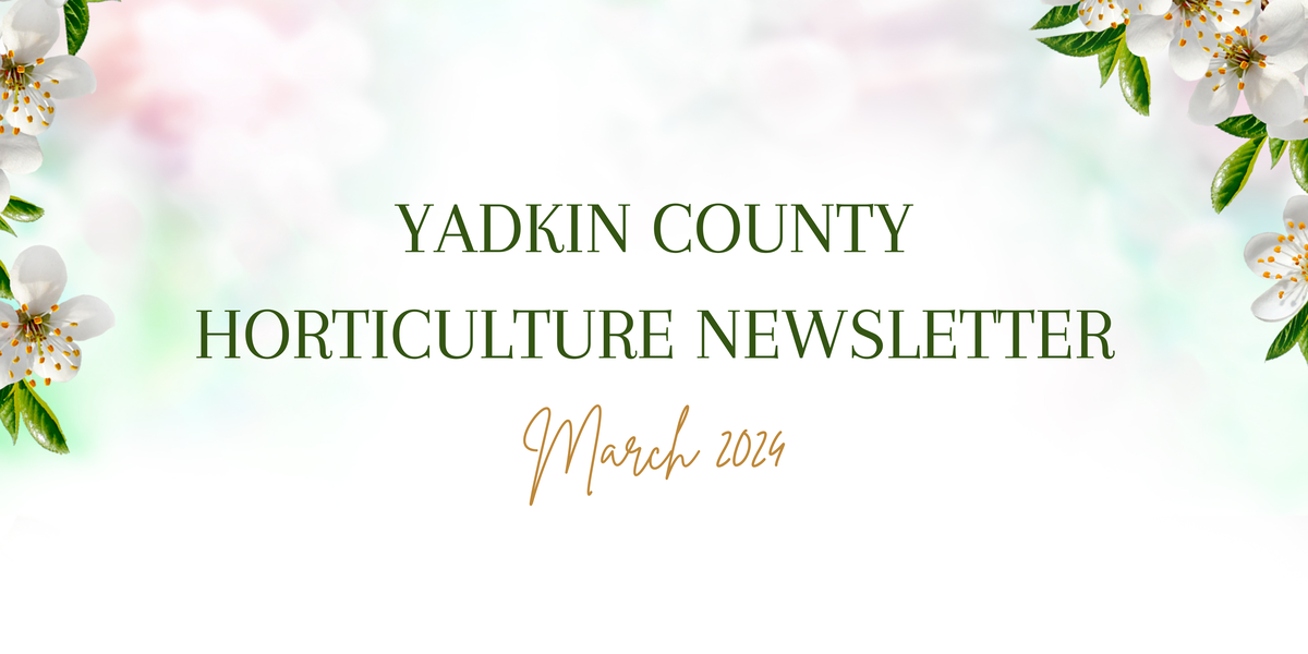 March Newsletter Banner