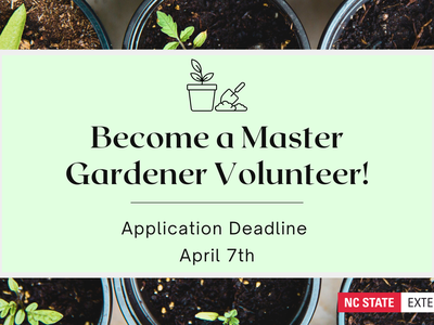 Seedling pots with banner: "Become a Master Gardener Volunteer! Application deadline April 7"