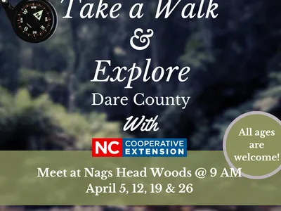 image of woods and notice about walking dates