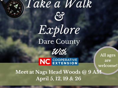 image of woods and notice about walking dates