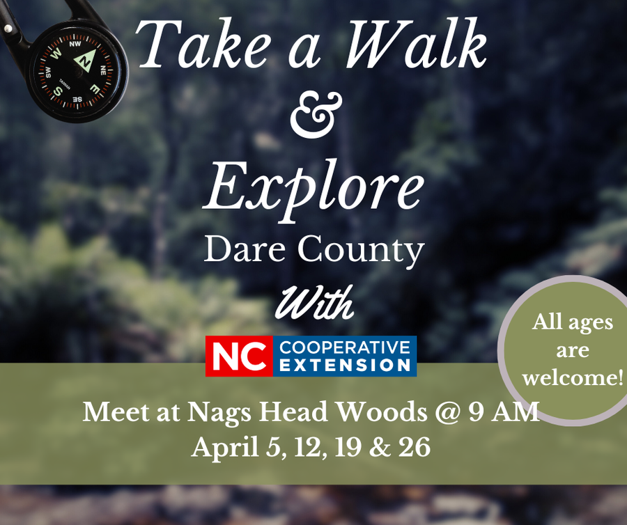 image of woods and notice about walking dates
