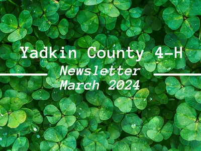 March 2024