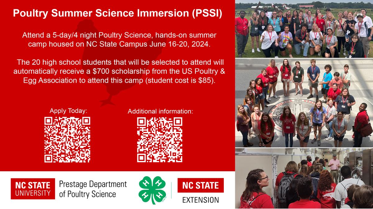 PSSI flyer