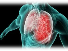 Transparent upper torso showing highlighted red lungs with airway and blood vessels
