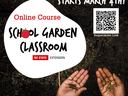 Decorative image of school garden launch