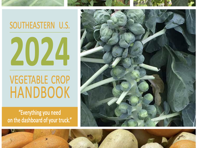 Cover titled "Southeastern Vegetable Extension Workers" and "2024 Vegetable Crop Handbook" with brussels sprouts and squash photos