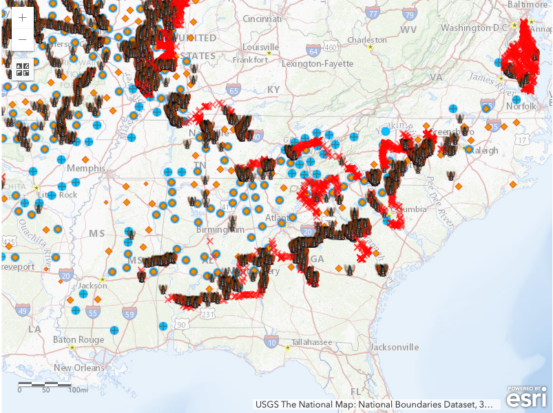 Map of Southeastern US with cicada presence indicated in TN, GA, NC, VA, AL, MS, IL