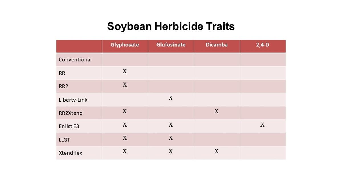 Soybean Herbicide Traits
