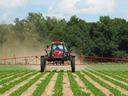 Red tractor with wide boom sprayer driving down crop rows, spraying field