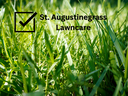 St Augustinegrass