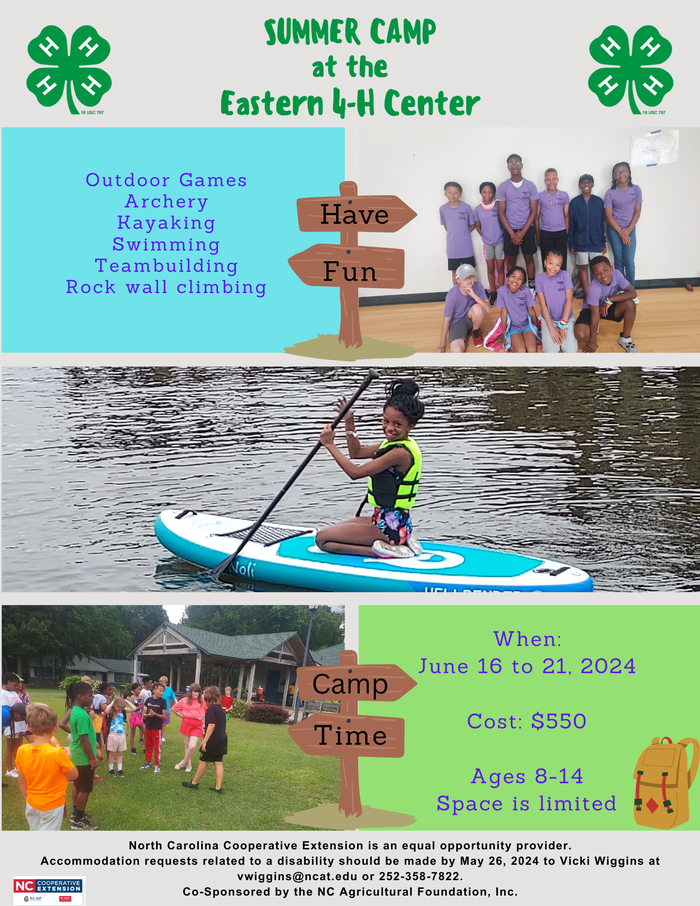 Summer Camp Flyer