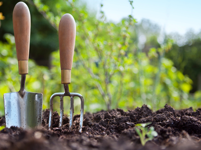 Trowel and hand fork with wooden handles inserted into garden soil