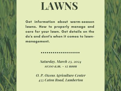 Warm season lawns